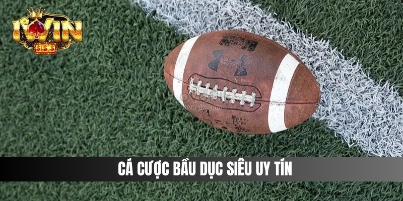 Cá cược bầu dục siêu uy tín